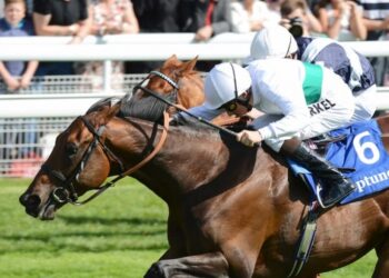 Meilleurs paris sur les quatre courses de chevaux le jeudi 12 mai