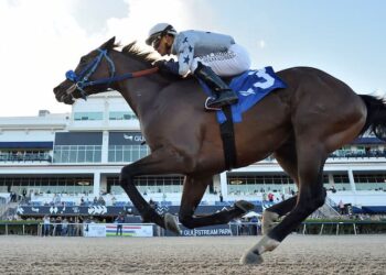 Meilleurs sites de paris sur les courses de chevaux pour les enjeux de Preakness