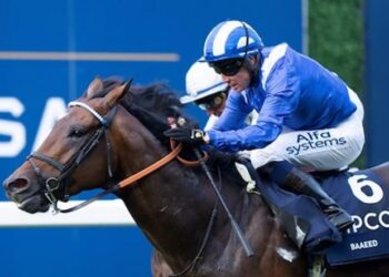 Tendances et conseils sur les enjeux Lockinge