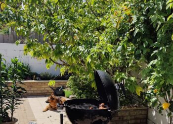 choses du dimanche |    … un blog d&rsquo;Arsenal