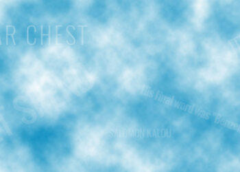 Favoris mercato |    … un blog d’Arsenal