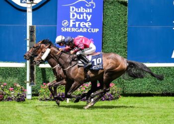 Coupe Shergar 2022 |  Comment fonctionne le match d’Ascot de samedi ?