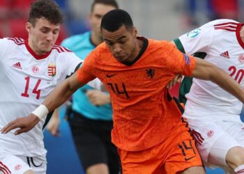 Manchester United aligne l’offre de Cody Gakpo – News 24