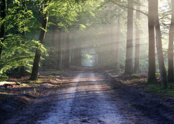 Un parc de loisirs en pleine nature