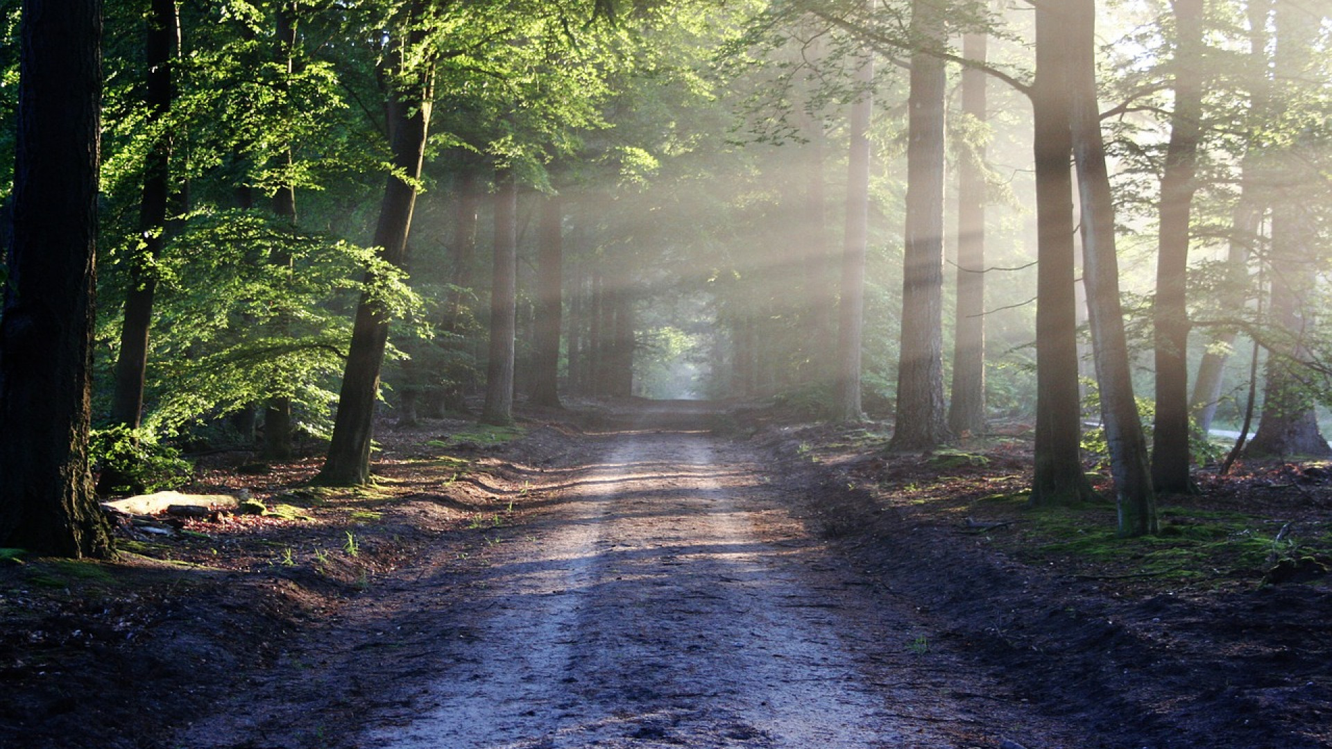 Un parc de loisirs en pleine nature