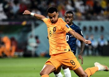 Cody Gakpo et Fabrizio Romano laissent entendre qu’ils déménageraient à Manchester United – News 24