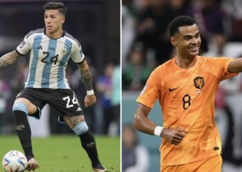 Chronique de l’éditeur : Cody Gakpo est une signature merveilleusement intelligente, et il semble qu’un milieu de terrain pourrait également suivre