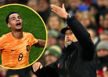 Liverpool doit espérer que la revendication passionnante de Klopp sur Cody Gakpo se réalisera alors que la réalité du transfert de janvier est claire