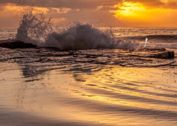 Les beaux sons du football …