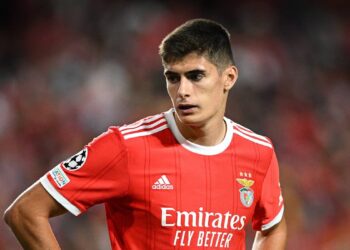 Manchester United a régulièrement repéré la sensation défensive de Benfica, Antonio Silva – News 24