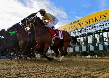 Réclamez jusqu’à 5 550 $ en offres de paris