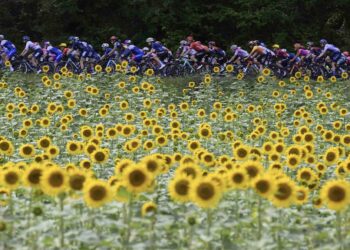Résumé de la 6e étape du Tour de France 2023 Femmes