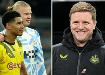 Newcastle s'en prend aux « prochains Erling Haaland, Jude Bellingham et Jamal Musiala » |  Football |  sport