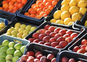 Une nutritionniste partage de délicieux fruits d’hiver que vous devriez manger « quotidiennement » pour perdre du poids