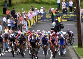 Cadel Evans Great Ocean Road Race 2024 : Parcours, engagés, classement
