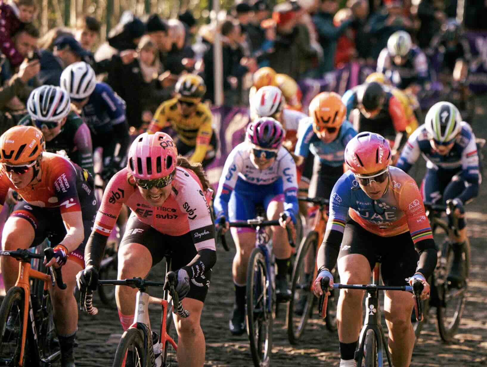 Omloop Het Nieuwsblad Femmes 2024 Les engagées et favorites