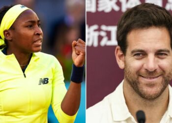 Juan Martin del Potro admet avoir la même position sur le tennis masculin que Coco Gauff |  Tennis |  sport