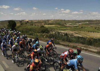 Tour des Abruzzes 2024 : Les engagés et favoris