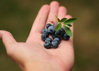Les « superaliments » soulagent l’arthrite et peuvent être transformés en smoothie pour le petit-déjeuner