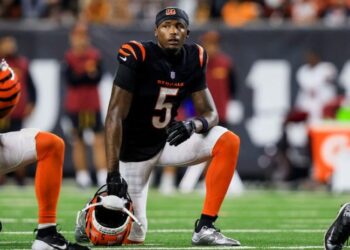 Tee Higgins Bengals pic