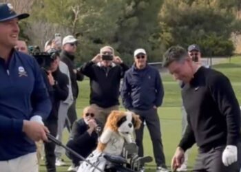 Bryson DeChambeau déchire Rory McIlroy avec un commentaire brutal sur l’effondrement de l’US Open | Golf | Sport