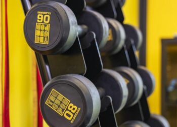 J’ai essayé de faire de la poudre de protéines à la maison avec seulement 3 ingrédients | Royaume-Uni | Nouvelles