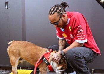 Lewis Hamilton obtient des hommages touchants des rivaux de F1 après la mort tragique de Dog Roscoe | F1 | Sport