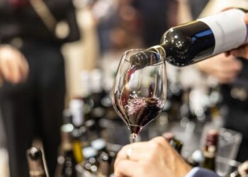 Le moment idéal selon le docteur Michael Mosley pour boire du vin bénéfique pour la santé