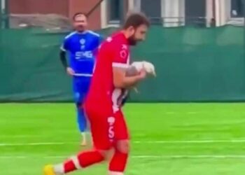 Un match de football s'est soudainement arrêté alors qu'un joueur effectuait une RCR pour sauver une mouette | Football | Sport