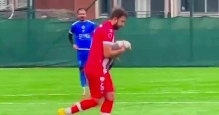 Un match de football s'est soudainement arrêté alors qu'un joueur effectuait une RCR pour sauver une mouette | Football | Sport