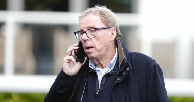 Daniel Levy a dit à Harry Redknapp qu'il le ramènerait à Tottenham | Football | Sport