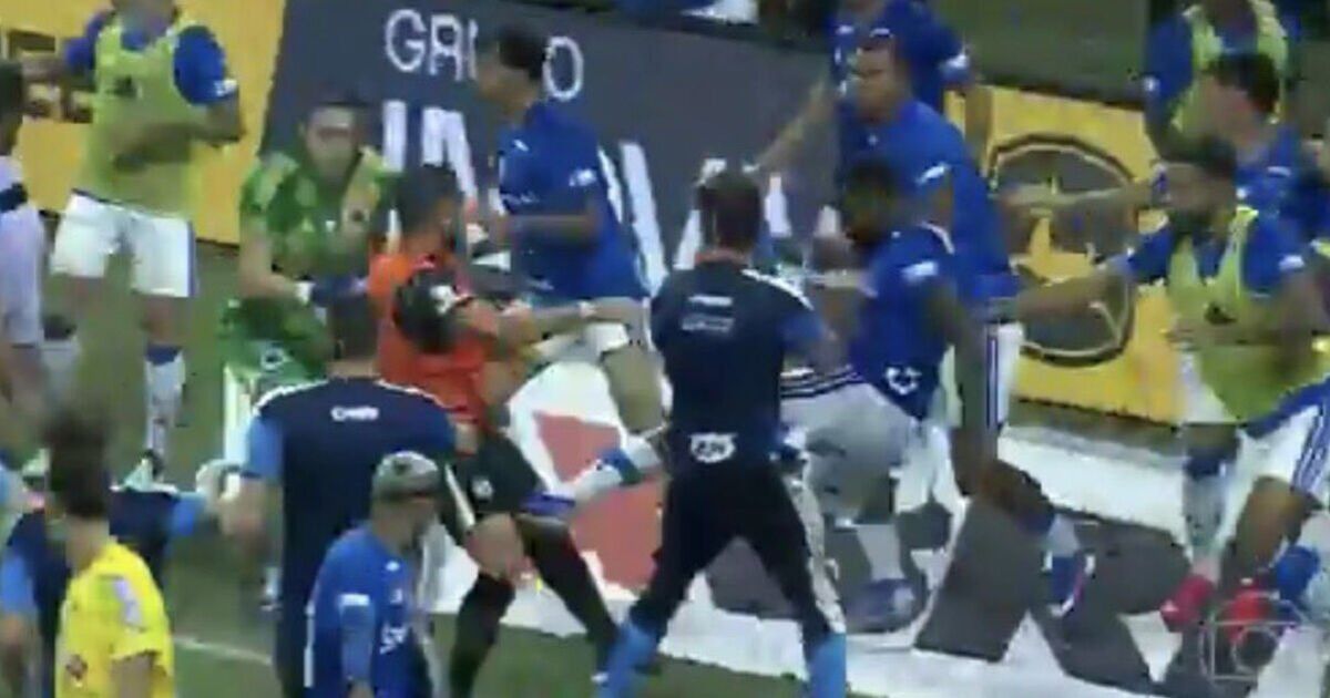 La finale de football explose en guerre avec 23 cartons rouges distribués après des coups de poing et des coups de pied volants | Football | Sport