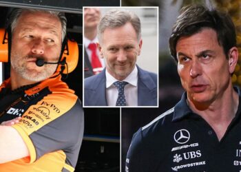 Zak Brown et Toto Wolff ne sont pas d&rsquo;accord sur le retour de Christian Horner en F1 | F1 | Sport