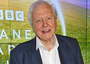Le régime de « longue vie » de David Attenborough alors qu’il fêtera ses 100 ans le 8 mai | Nouvelles des célébrités | Showbiz et télévision