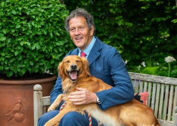 Monty Don de Gardeners’ World qualifie une plante « bizarre » dont il ne pourrait pas se passer dans son alimentation quotidienne | Nouvelles des célébrités | Showbiz et télévision